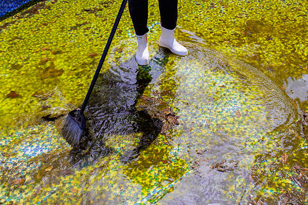 Worker rakes floating debris from swimming pool, ensuring water remains clear clean during works day