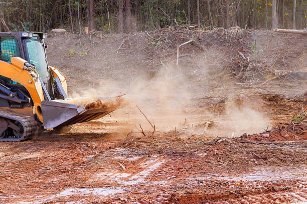 istock Excavation equipment clears land in wooded area during day time, creating dust clouds altering landscape 2222806568