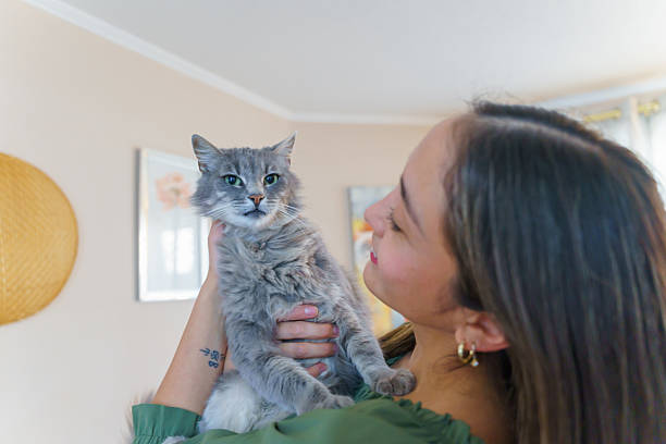 istock Young woman holding her gray cat at home 2222810962