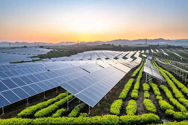 istock aerial view solar power station 2222812675