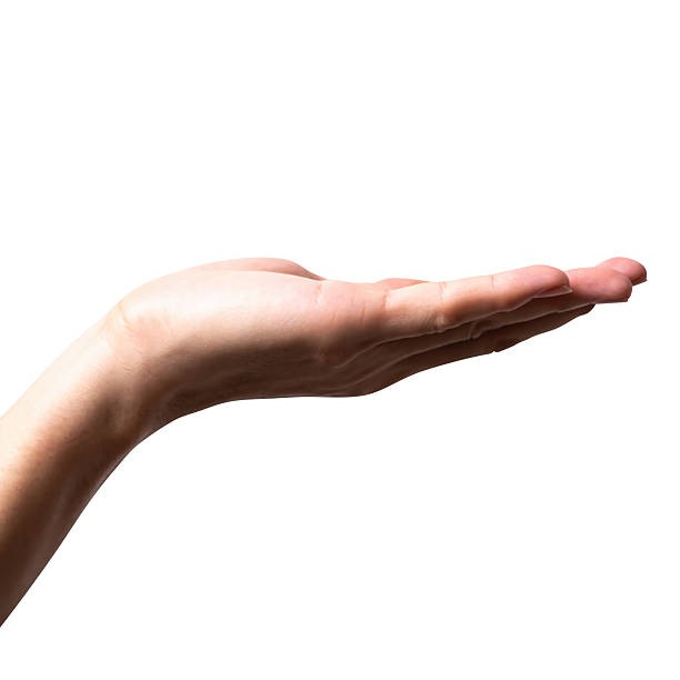 istock Male hand reach and ready to help or receive. Gesture isolated on white background. 2222813334