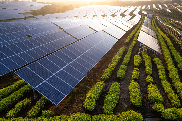 istock aerial view solar power station 2222813555