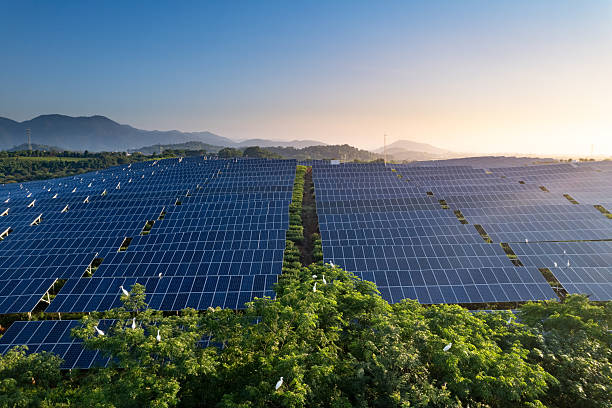 istock aerial view solar power station 2222813632