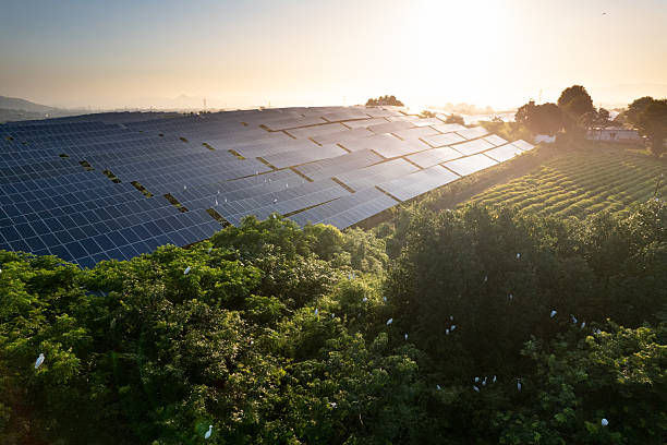 istock aerial view solar power station 2222813654
