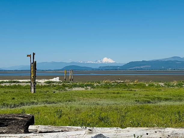 istock Skagit bay at low tide 2222814001