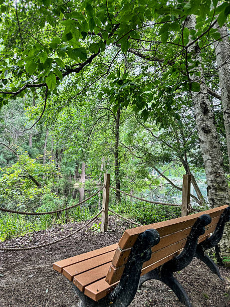 istock Bench by trees and water at Wisconsin nature center 2222818829