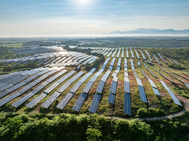 istock Solar photovoltaic panels on a hillside at sunrise 2222819241