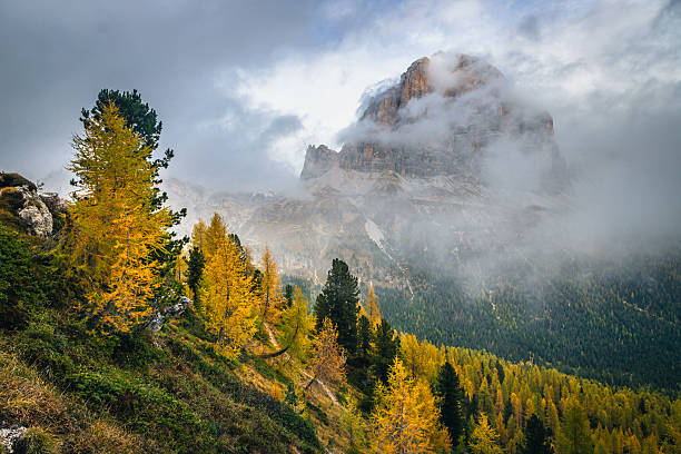 istock Autumn larch forest and misty mountain peaks in the Dolomites 2222821492