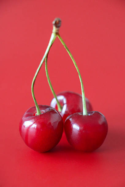 Image of three red cherries with stems isolated / juicy summer fruit highlighting vibrant color, natural freshness