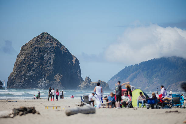 View across sandy beach to island in ocean at sunset, Haystack Rock, Oregon Islands National Wildlife Refuge