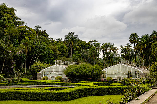 istock Brazilian LandScape 2222838868