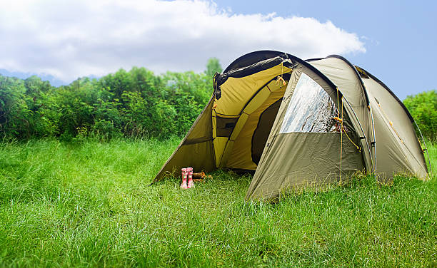istock Tourist tent on a green meadow 2222840099