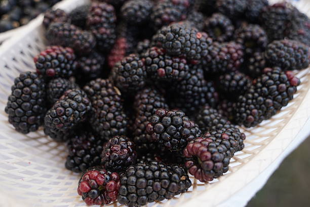 istock Berries on a large plate on the table. Summer harvest. 2222840224