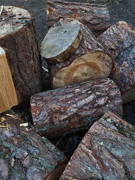 istock Freshly Chopped Firewood for Heating 2222840644