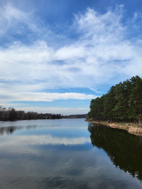 istock Lake Reflections With Forest and Cloudy Sky 2222841311