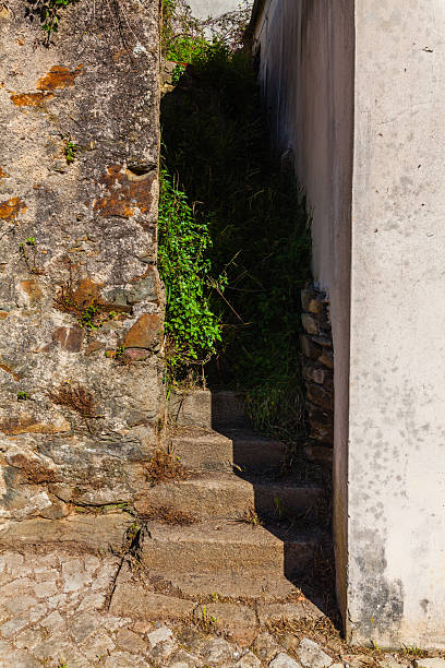 A narrow stone staircase leads into a shadowy passage, flanked by textured walls