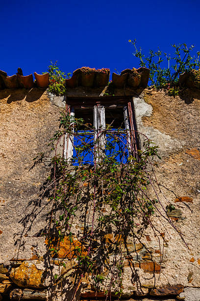 An old, weathered window with overgrown vines frames a vibrant blue sky, showcasing the interplay of nature