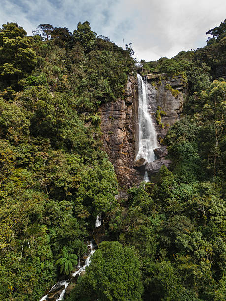 istock Lovers Leap Waterfall Dropping from Cliffs into Dense Sri Lankan Jungle 2222850570