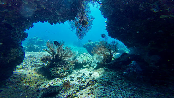 Underwater landscape inside the grotto.