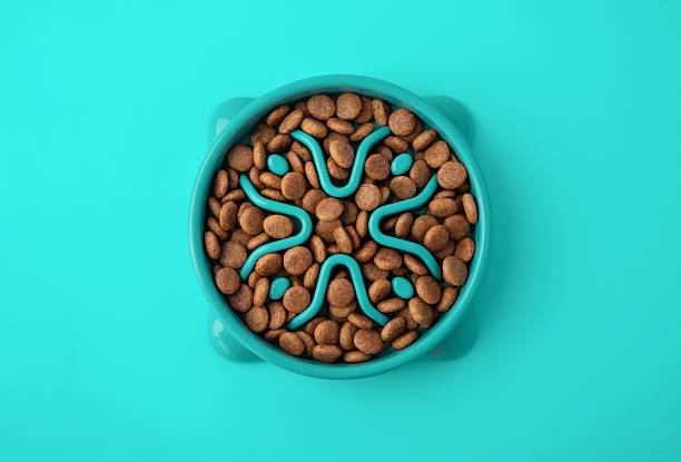 istock Cat and dog green slow Feeding Bowl on green background 2222855270