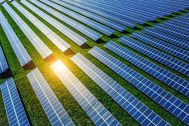 Solar Panels on a Vast Green Farm in Renewable Energy Landscape stock photo