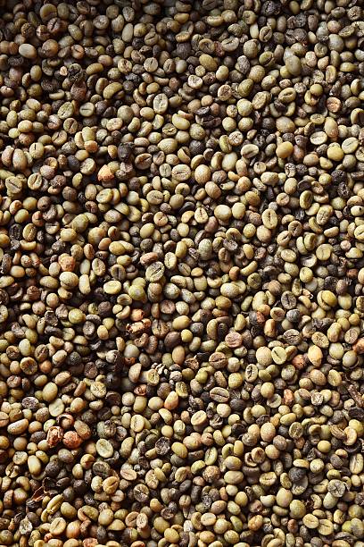 istock Close up of coffee beans 2222863898