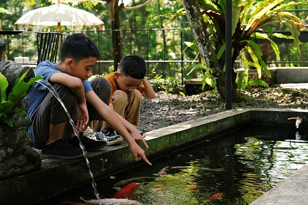 istock Kids Pointing at Koi Fish in Tropical Pond 2222864660