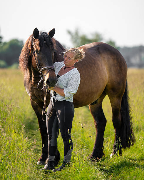 istock Charming young rider stands in field, gently stroking and affectionately looking at her brown horse. Tender moment showing deep bond between human and animal. 2222865162