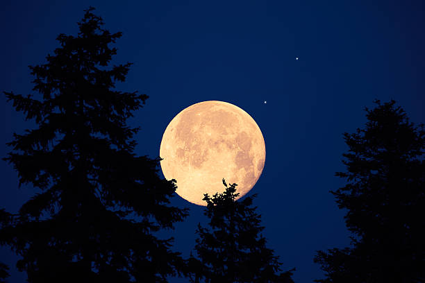 istock Full Moon with stars, planets and rural countryside tree silhouettes. 2222866214