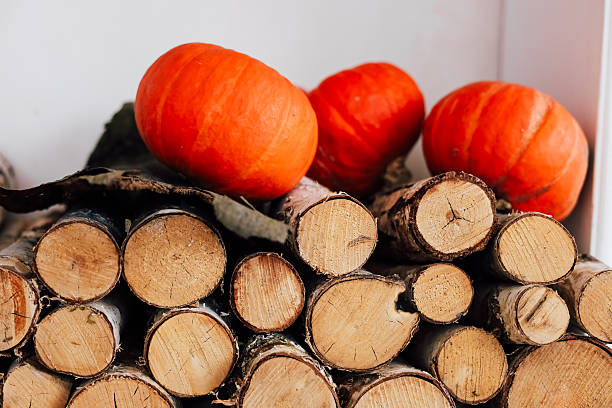 Three vivid orange pumpkins are placed on top of neatly stacked wooden logs in a warm and inviting indoor space.