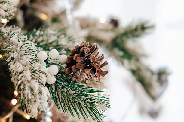 istock Winter holiday decoration featuring a frosted pine tree branch with a pinecone 2222868690