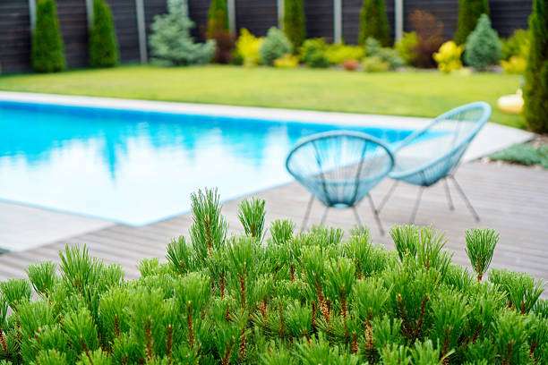 Small modern back yard in Australia