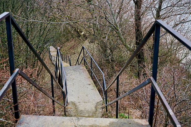 Steel staircase descends into forest with bare branches. Perspective shows depth, contrasting stark grey stairs with brown, barren woods. Cool, muted lighting enhances tranquil setting