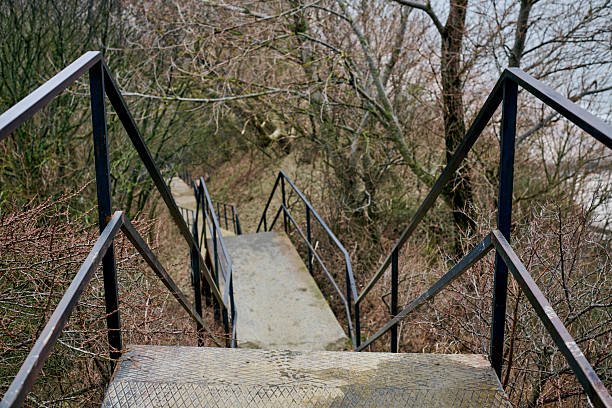 Steel staircase descends into forest with bare branches. Perspective shows depth, contrasting stark grey stairs with brown, barren woods. Cool, muted lighting enhances tranquil setting