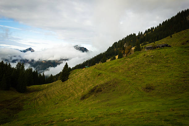 Velika planina, Slovenija