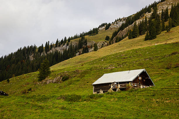 Meadows in the Swiss Alps near Prafandaz and Leysin Switzerland