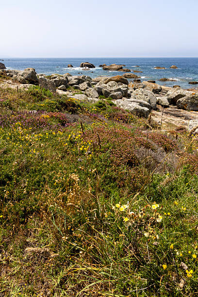 istock A beach with a rocky shoreline and a small path leading to the water 2222877610