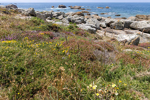 istock A beach with a rocky shoreline and a small path leading to the water 2222877647