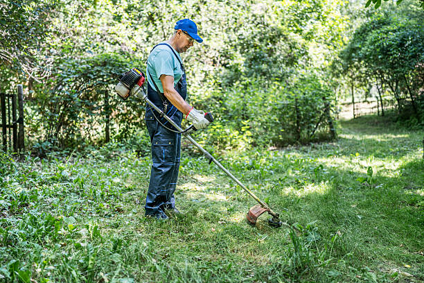 Gardener maintaining a garden by skillfully operating a string trimmer, ensuring a neat and manicured lawn