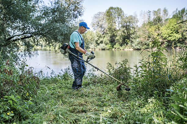istock Gardener cutting grass with brushcutter near river 2222885417