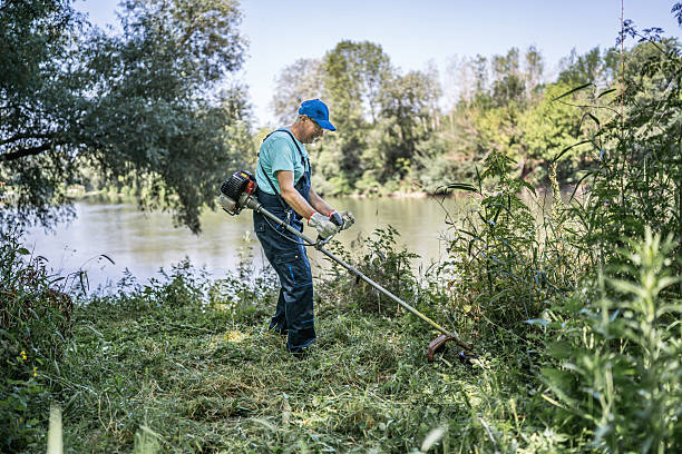 istock Gardener cutting grass with brush cutter near river 2222885949