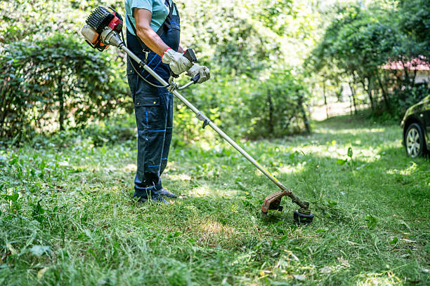 istock Gardener mowing grass with string trimmer in garden 2222886662