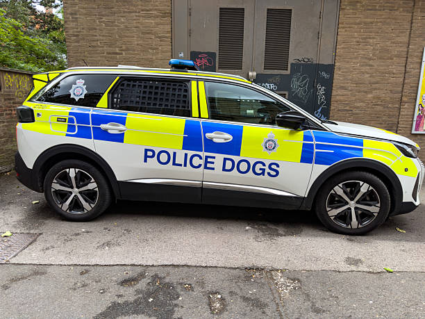 Police car in front of the Courthouse of the Rechtbank Overijssel in Zwolle. The Overijssel court is one of eleven courts in The Netherlands.