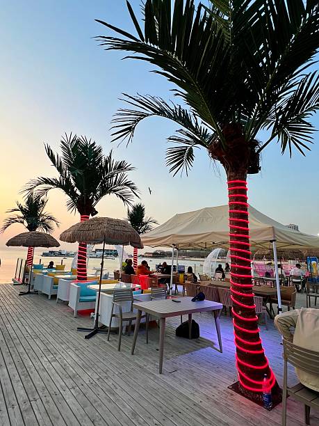 Vladivostok, Russia - May 03, 2024: Waterfront dining area, restaurant or bar, characterized by several palm trees with sea on background