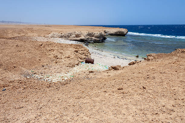 Plastic bottles washing up on the coast. Pollution, environment, nature. Red Sea, Egypt.
