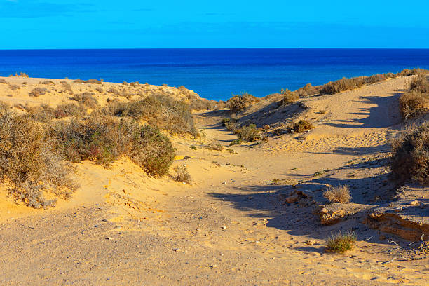 Indiana Dunes National Park, USA.
