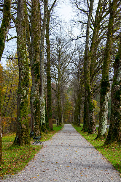 Footpath on Herreninsel Island - Germany