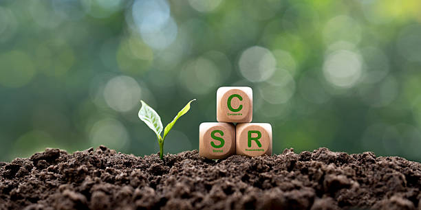 기업 및 지역 사회의 사회적 책임 개념. 나무 블록에 csr 아이콘이 있는 녹색 나무가 자랍니다. 녹색 자연 배경. - 기업의 사회적책임 뉴스 사진 이미지