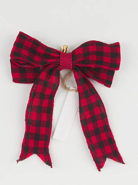 istock Christmas Bow Decoration isolated nature background with clipping path 2222902303