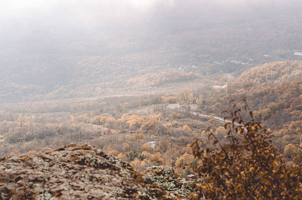 Autumn hues blanket Crimea, captured from high vantage point. Mist creates dreamy atmosphere over vast foliage. Subtle light enhances rich browns and golds of landscape